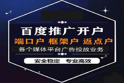热门SEM运营公司案例深度剖析